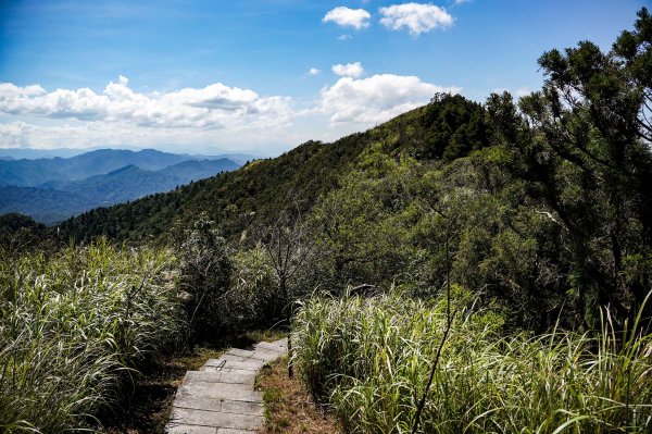 五分山｜小百岳2915445