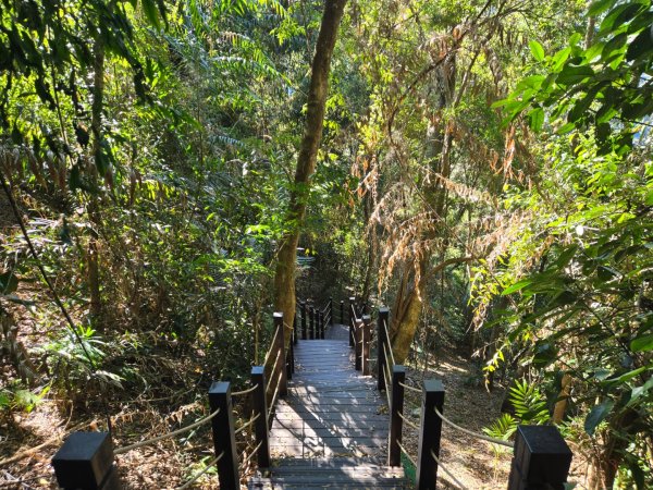 雪山坑登山步道~巨人之手2948731