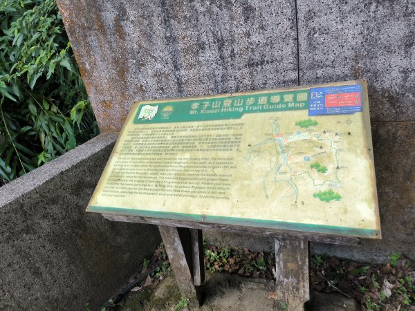 20251010微笑山線：【五分山系】平溪小黃山段 - 健行筆記2910177