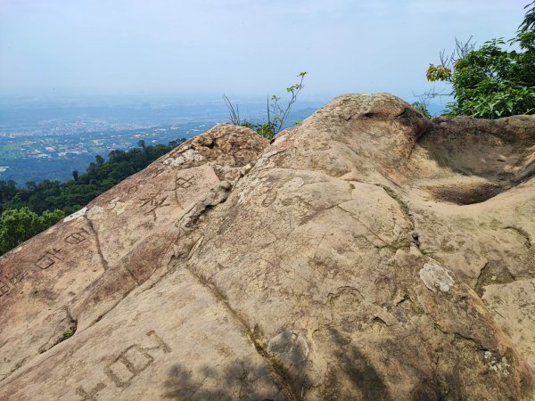 金面山/白石山-小百岳#21-桃園市大溪區2247877