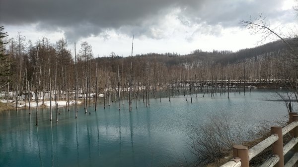 日本北海道青池2759854