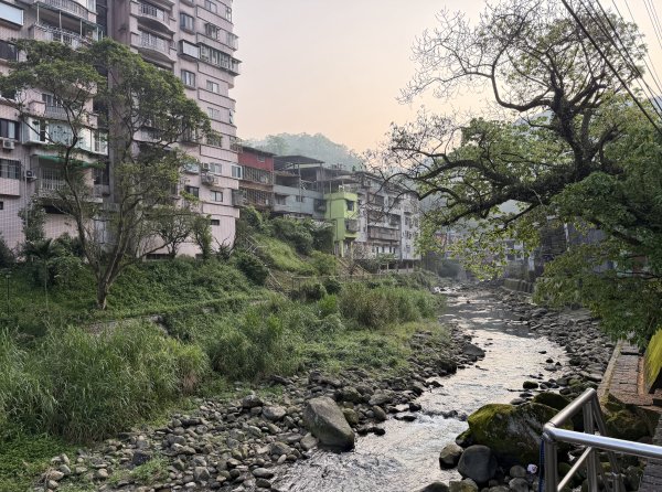 [微笑山線_第八段] 2026_0411 二格山系_西帽子岩3034932