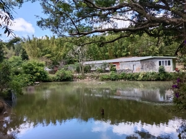 雙溪區雙澳崙+土地公嶺保甲路+青雲古道+遠景古道O型2910412