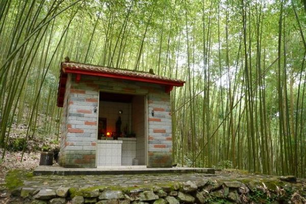 【走在台灣的脊樑上】回味林場軼事：八仙山森林步道