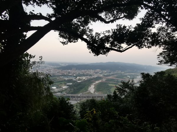 六寮古道→高峰植物園→鳳崎落日→石門水庫楓林→東眼山→鳶山→五酒桶山→台大椰林→富陽公園→象山步道1667444