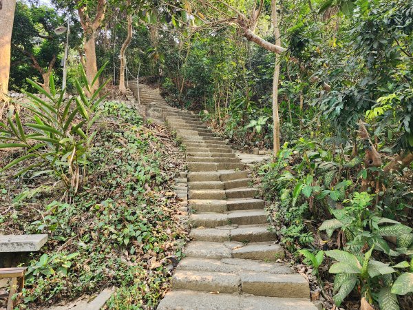 小百岳No.75⛰觀音山3025130