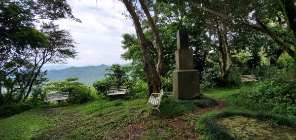 2020-05-30圓通寺登山步道(南勢角山)1386277