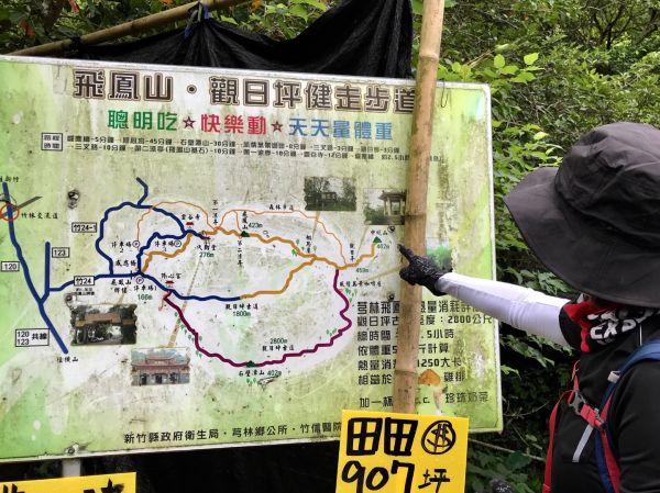 飛鳳山觀日坪連走中坑山388261