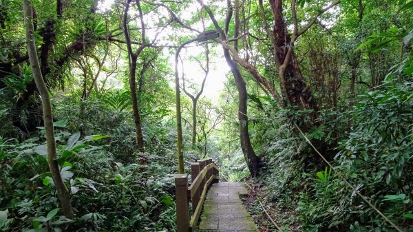 豹山溪,獅山溪,永春崗1769892