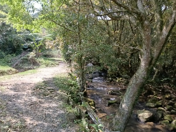 五指山古道+友蚋山南峰2757051