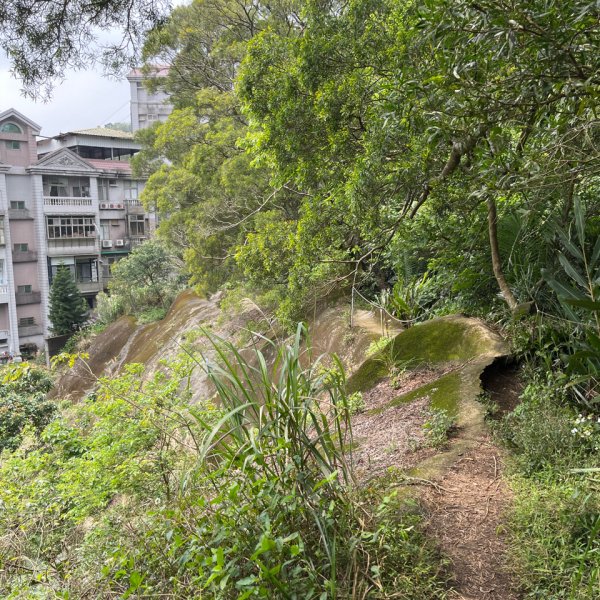 20250229_台北天際線第十段（中和-土城）2855550