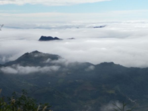 橫龍山&騰龍山(橫龍古道) 苗栗 泰安 2017 11 22211628