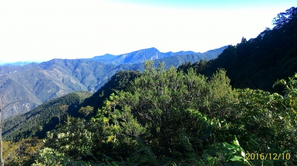 20161210新竹高台山,小中大島田山79299