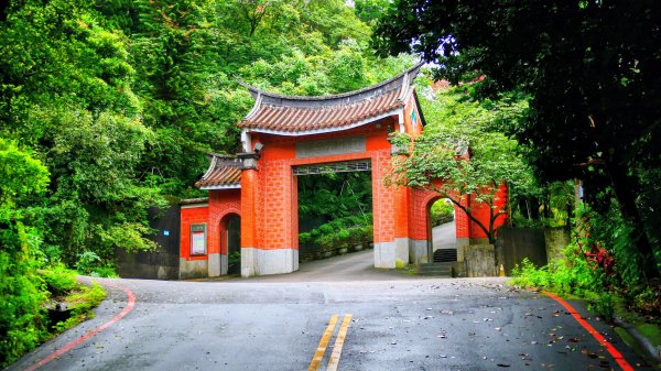 台灣藍鵲3074008