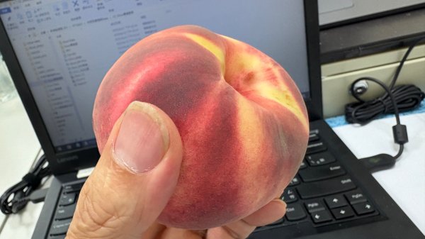 加里山東南峰2867915