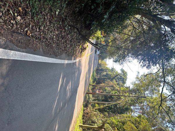 苗栗三義-三員縱走2616430