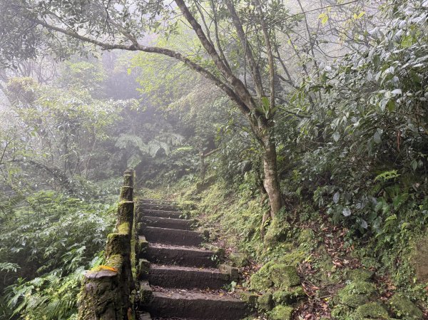[微笑山線_第八段] 2026_0321 二格山系_二格山3020924
