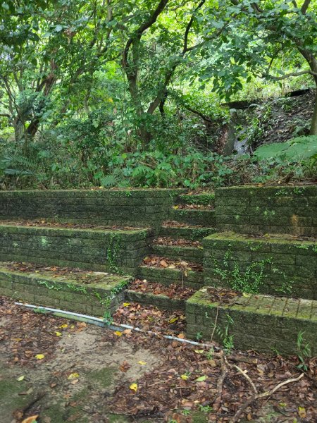 貴子坑報山步道2849852