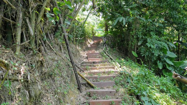 牛稠尾山,聖明山2563585