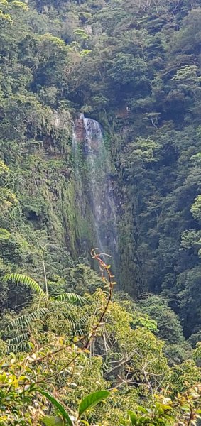 2022-03-12三角崙山登山步道1637857