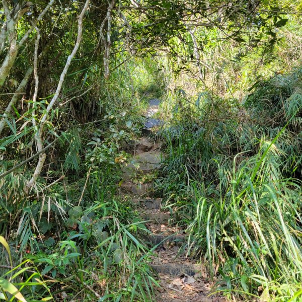 集集大山、車埕步道（小百岳）1628777