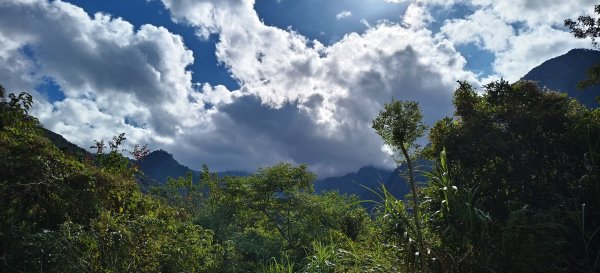 2026/01/01_雪山坑環線步道O型2978103