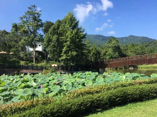 1070728南庄向天湖山O型路線373472