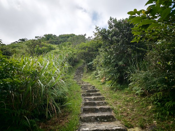 [淡蘭古道] 2026_0531 北路第一段_樹梅坪古道3070645
