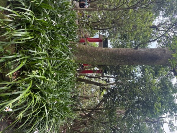 偷吃步之台北天際線第十段2777818