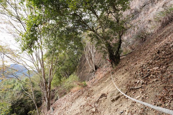 台中 和平 東卯山2674525