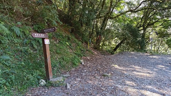 大霸群峰登山步道(大鹿林道線)2911396
