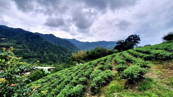 平溪中央尖山，慈恩嶺，東勢格越嶺古道，石碇鱷魚島，南港白匏湖，橫科彈藥庫舊址1751661