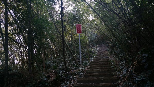 雲嘉七連峰縱走1289795