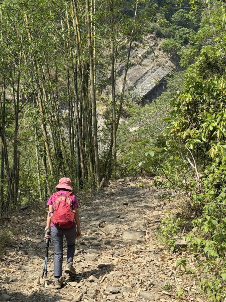 西阿里關山 202605033048181