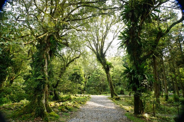 新北 烏來 志良久山3035156