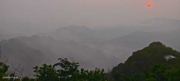 #山羌 #親子檔 #二格山 #日出 #雲海 #晨霧 4/113033449