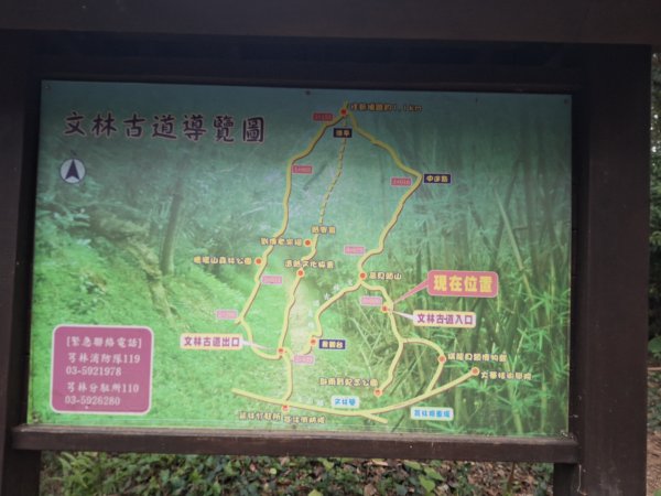 文林古道(鄧雨賢公園起登)202401222696173