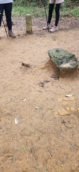 阿哲/小黑3031507