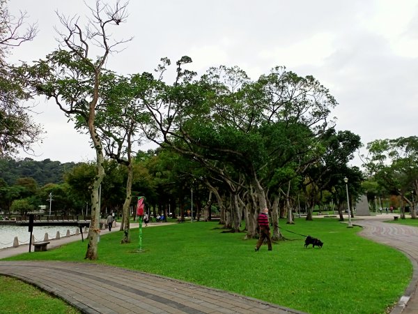 大湖公園 (防災公園)【走路趣尋寶】1899859