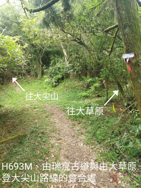 瑞泉古道上大尖山、下富士坪第三草原1760115