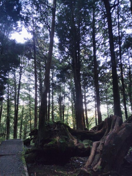 小百岳(59)-大塔山-202209251878800