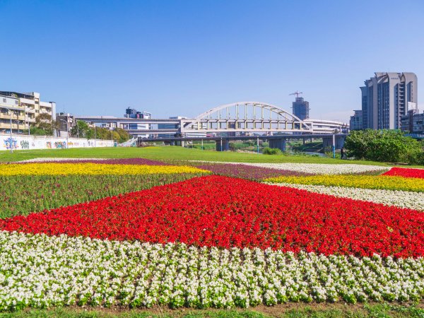 【新聞】成美右岸河濱打卡美景 造型花海盛開超好拍