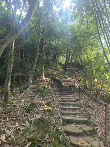 2025.10.05－南觀音山步道2908099