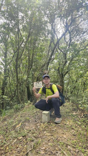 20260323后番仔坑山-內平林山-新路尾山-頂坑山-三貂嶺中心點3023706