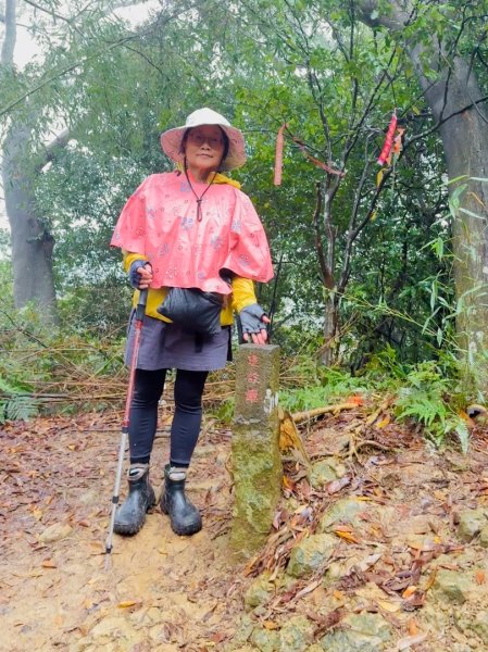 獅山 六寮古道 獅頭獅尾走一圈2992436