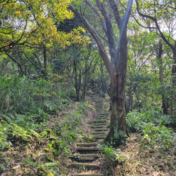 碇內尖景觀砲台步道2092661