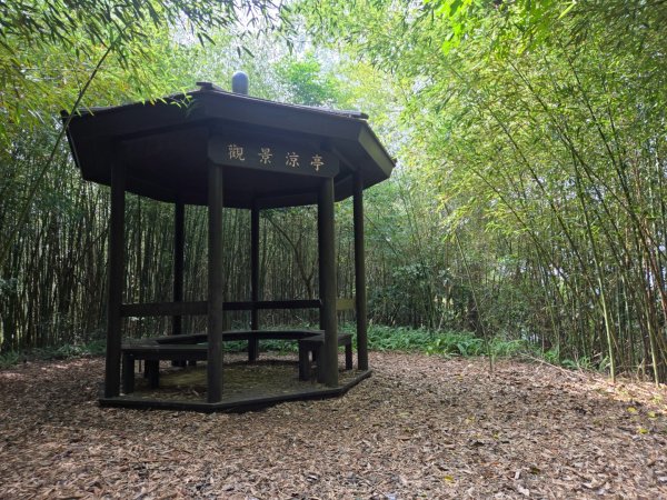 鐘樓古道、獅潭觀魚步道3127300