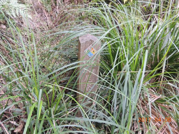 沙溪林道23.5K尾寮山步道東入口112856