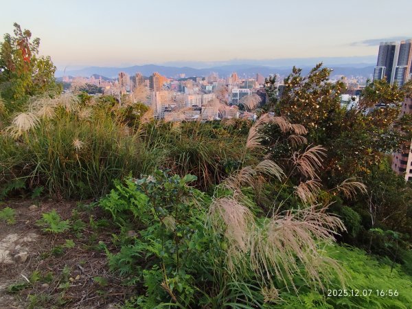 【臺北大縱走 5】碧山巖→忠勇山越嶺步道→金龍產業道路→圓明寺步道→鄭成功廟→潛園→格物台→劍潭古寺2959040