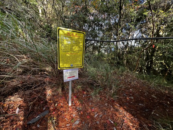 卯木山 合歡越嶺古道單人野營1940310